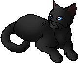 Rainwhisker.star