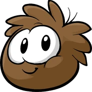 Brown puffle trsprt