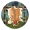 Furs (Civ5)