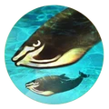 Whales (Civ5)