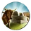 Granary (Civ5)