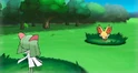 Fennel in battle