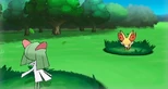 Fennel in battle
