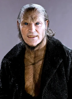 Fenrir Greyback