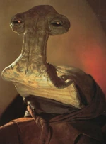 MomawNadon