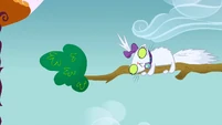 Frightened Opalescense S1E14