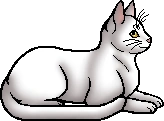 Cloud (Storm).elder