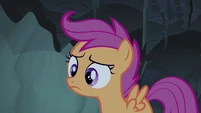 Scootaloo ear perk S3E6