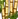 Bamboo icon
