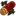 Cherrywood icon