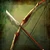Dragonslayer Bow