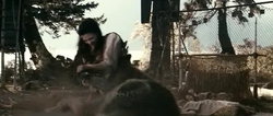 Cold Woman - Copy (2)