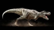 Tyrannosaurus20Rex