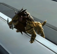 Desert Nekarr Cat