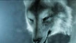 Fenrir-FFVIIAC