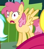 Shocked pony S1E5
