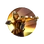 Crossbowman (Civ5)