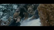 Images (4)