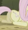 Fluttershy4motylki