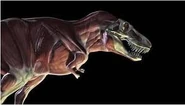 RexMuscles