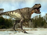 Wwdt-rex