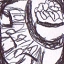 Elphrihaim LievQDraw