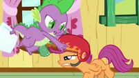 Spike putting his helmet on Scootaloo's head S3E11