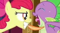Apple Bloom tickles Spike with a feather S03E11