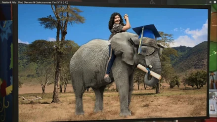 Trish Smart Elephant