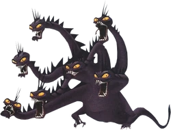 Hydra