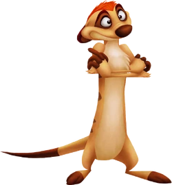 Timon KHII