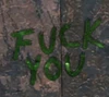 FoNV Fuck You