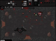 Champion Fallen