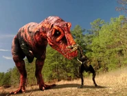 DinosDecodedRex