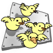 Rs rideemrigby babyducks