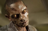3A Walker 5