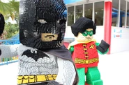 Batman with Robin