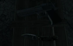 COD4 Desert Eagle down the rabbit hole MW3