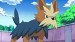 EP773 Herdier de Cheren