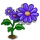 Aster-icon