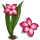 Impala Lily-icon