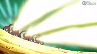 EP774 Amoonguss malvados usando rayo solar