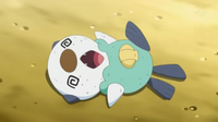 EP773 Oshawott debilitado