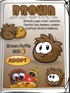 BrownPuffleCatalog