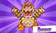 BowserPMSS2