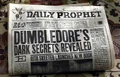 DPDumbledoreSkeeter2.png