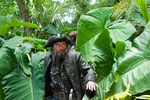BBJunglePromo3