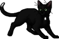 Ravenpaw.apprentice