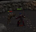 Kebbit fight.png