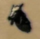 Pelt2